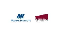 Marine Institute